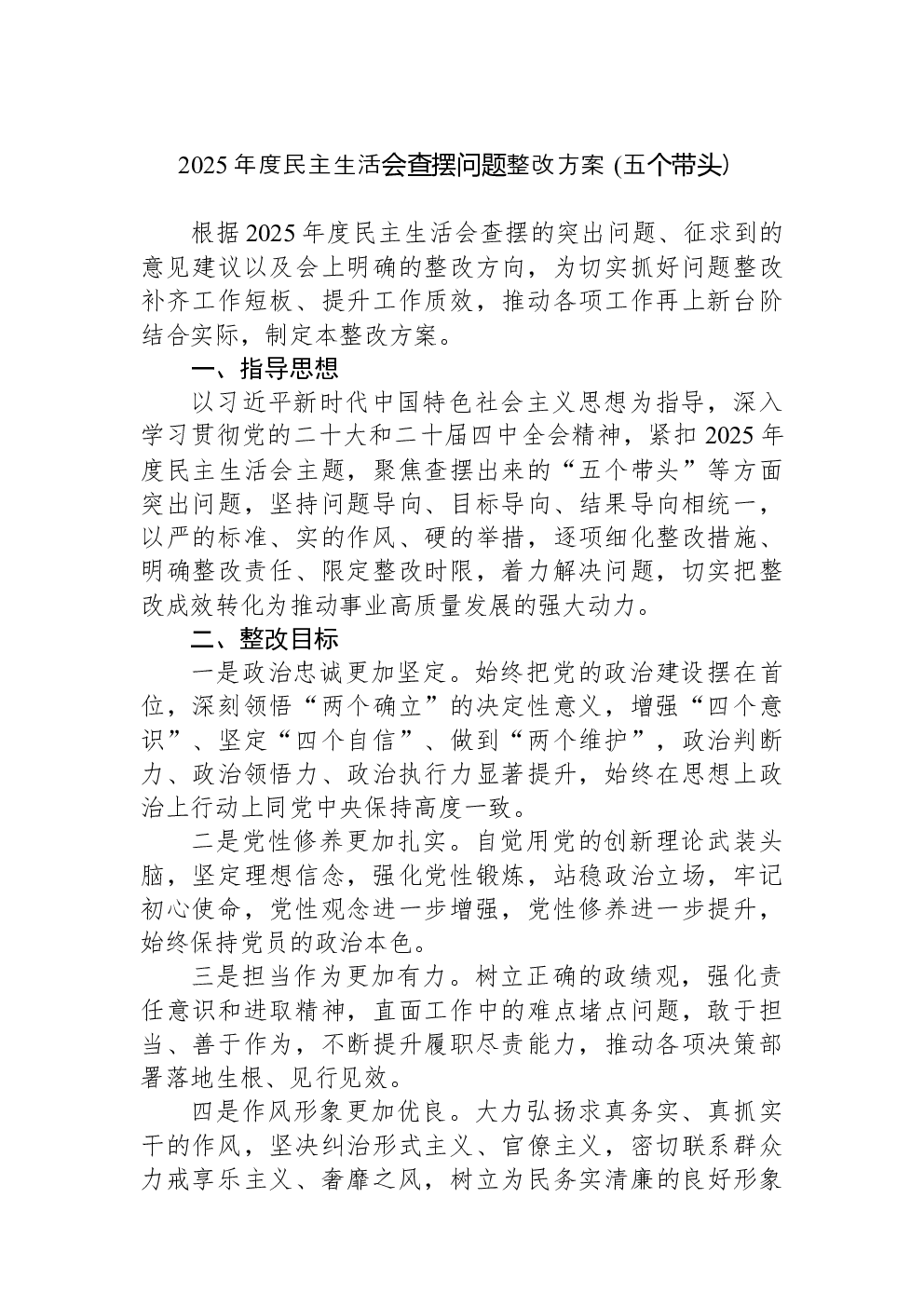 2025年度民主生活会查摆问题整改方案(五个带头）