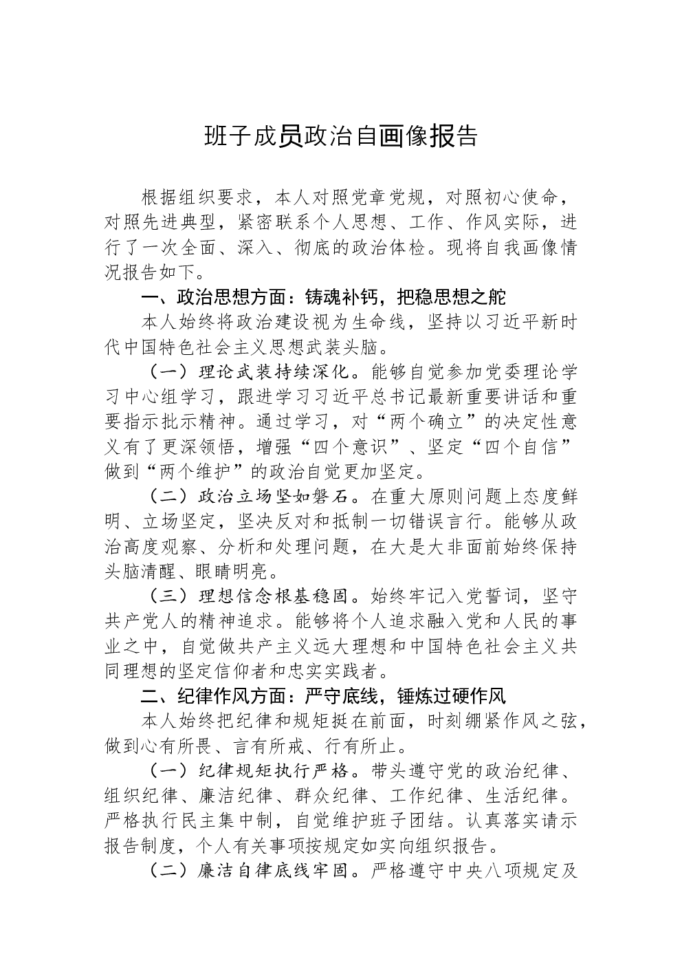 班子成员政治自画像报告